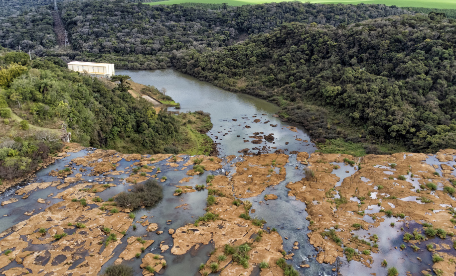 liberação ambiental de Pacueras no Paraná.