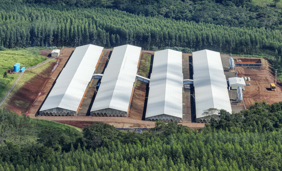 SÃO JOSÉ DAS PALMEIRAS - UNIDADE COOPERATIVA LAR