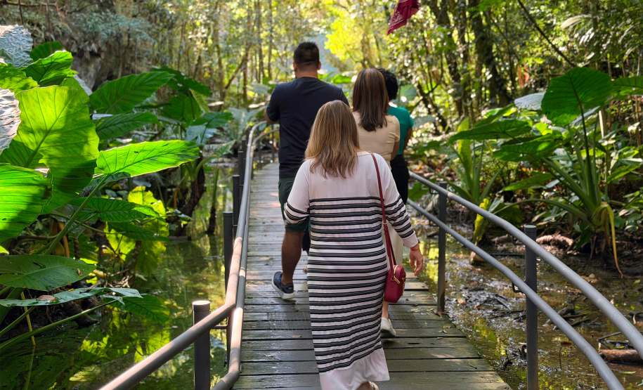 Agentes de viagem de todo o Brasil estão conhecendo o turismo do Paraná presencialmente