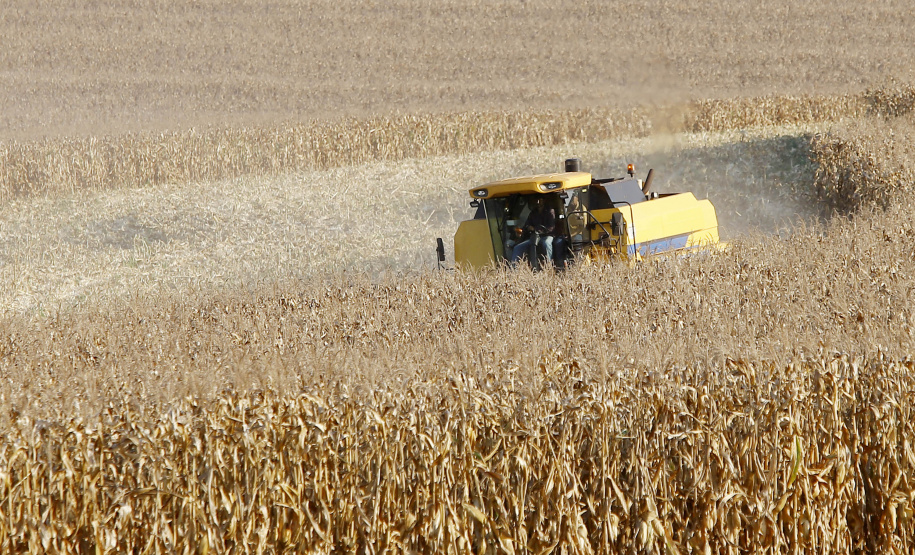 Paraná desponta como novo polo de etanol de milho com salto de 71% na produção