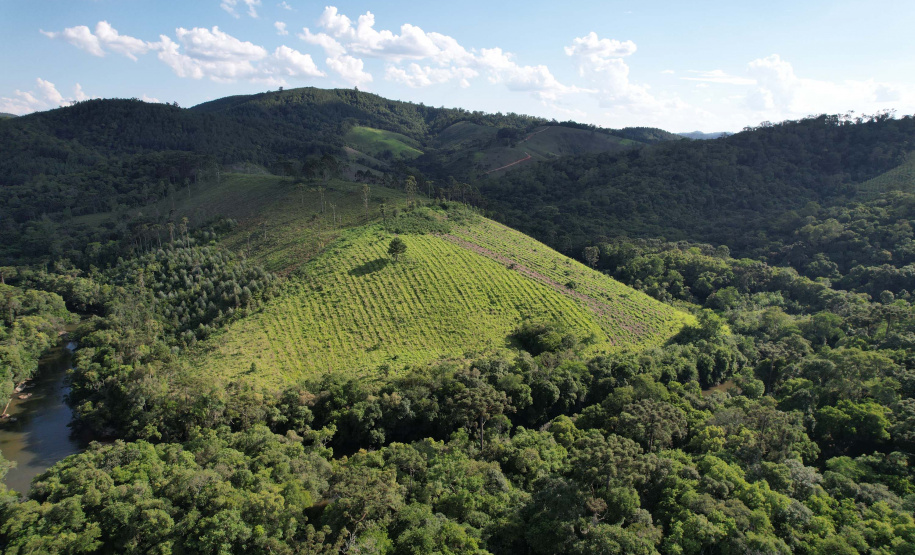 O Paraná vai ganhar nos próximos meses cinco novas unidades de Conservação: Monos de Castro, Monos de Cerro Azul, Maciel, Tia Chica e Núcleo Cercado.