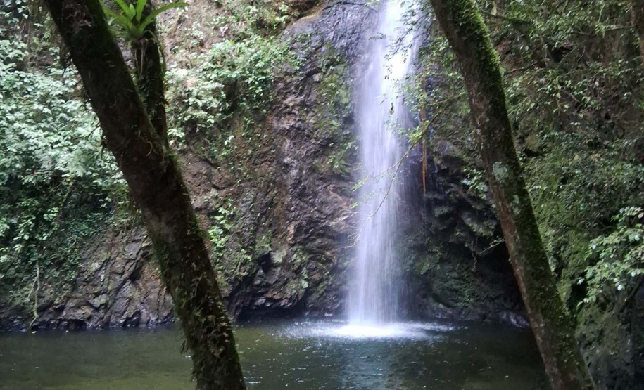 Núcleo Cercado, em Palmeira, nos Campos Gerais.