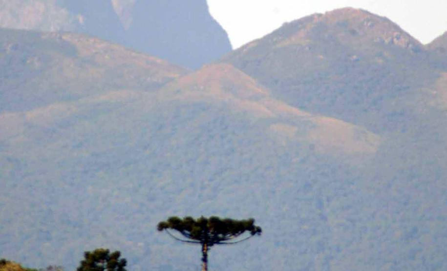 IAT - Campos de Altitude Pico Paraná