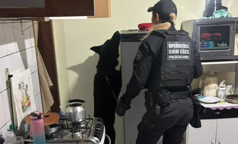 Forças de segurança prendem 21 pessoas em operação contra organização criminosa