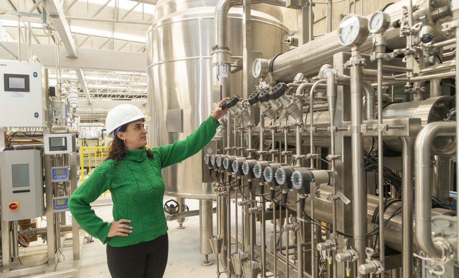 Giselle Nocera, gerente do Centro de Pesquisa e Produção de Insumos para Diagnósticos Veterinários