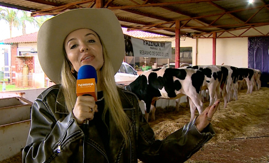 TV Paraná Turismo exibe edição especial do AgroTur nesta terça-feira (12) direto da ExpoIngá