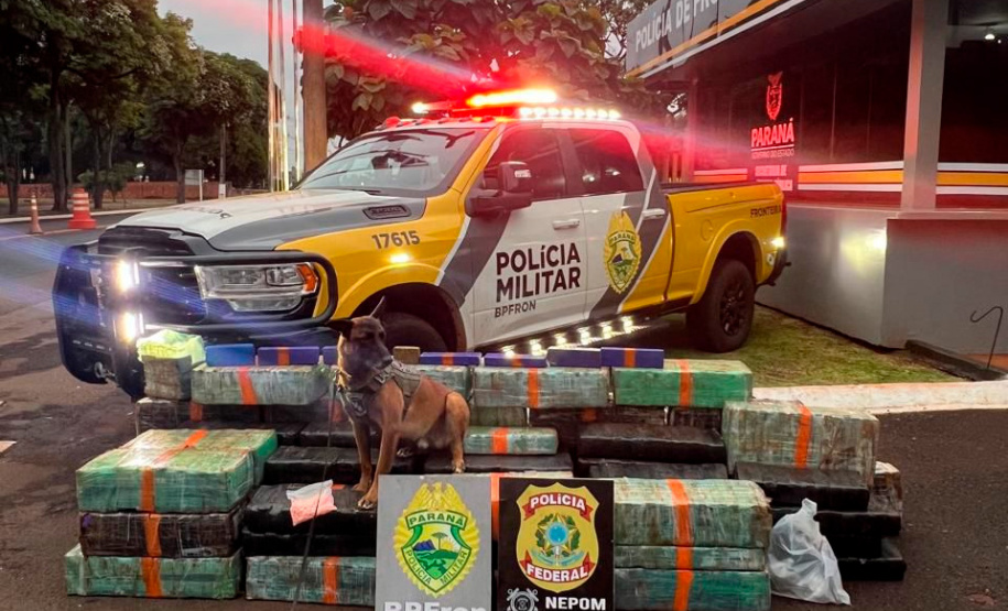 PMPR e forças integradas apreendem quase três toneladas de drogas em operações no Oeste do Estado