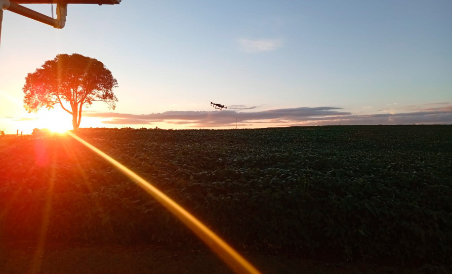 Colégio agrícola do Paraná realiza projeto inovador de apicultura em produção de soja