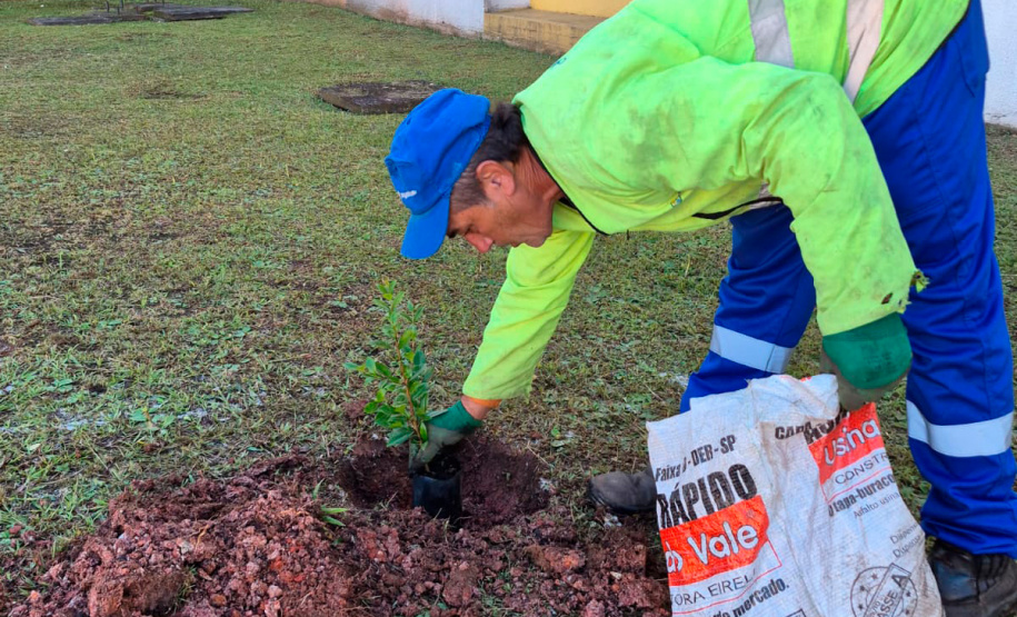 Hospital Infantil de Campo Largo ganha floresta terapêutica para auxiliar na recuperação de crianças