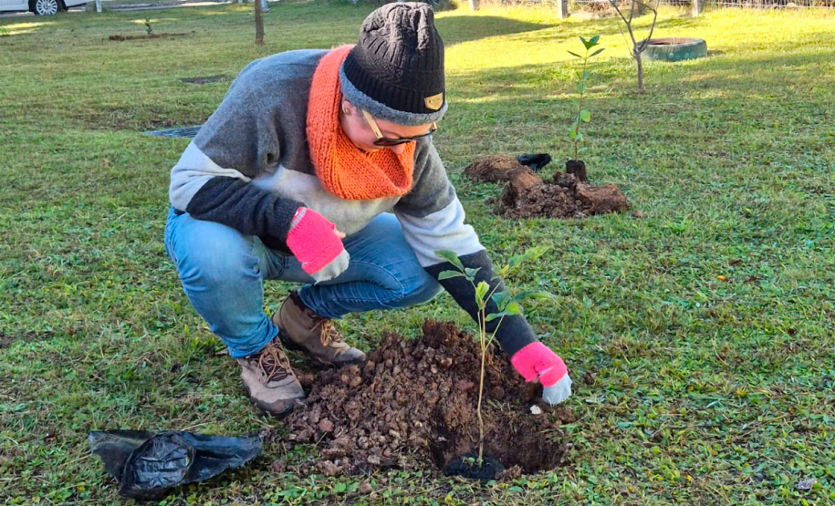 Hospital Infantil de Campo Largo ganha floresta terapêutica para auxiliar na recuperação de crianças