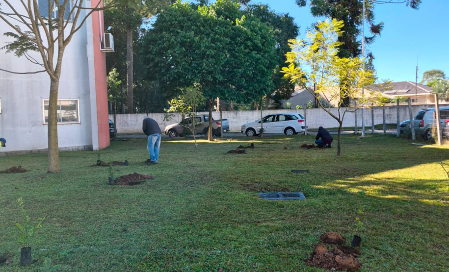 Hospital Infantil de Campo Largo ganha floresta terapêutica para auxiliar na recuperação de crianças