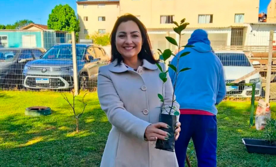 Hospital Infantil de Campo Largo ganha floresta terapêutica para auxiliar na recuperação de crianças