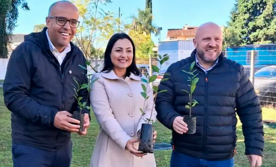 Hospital Infantil de Campo Largo ganha floresta terapêutica para auxiliar na recuperação de crianças