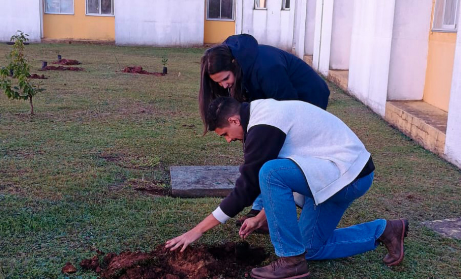 Hospital Infantil de Campo Largo ganha floresta terapêutica para auxiliar na recuperação de crianças