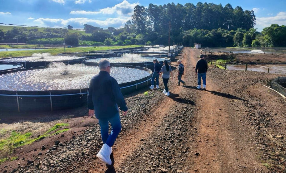 ADAPAR - Em cooperação com instituto norueguês, Adapar inicia projeto de biosseguridade na produção de tilápia