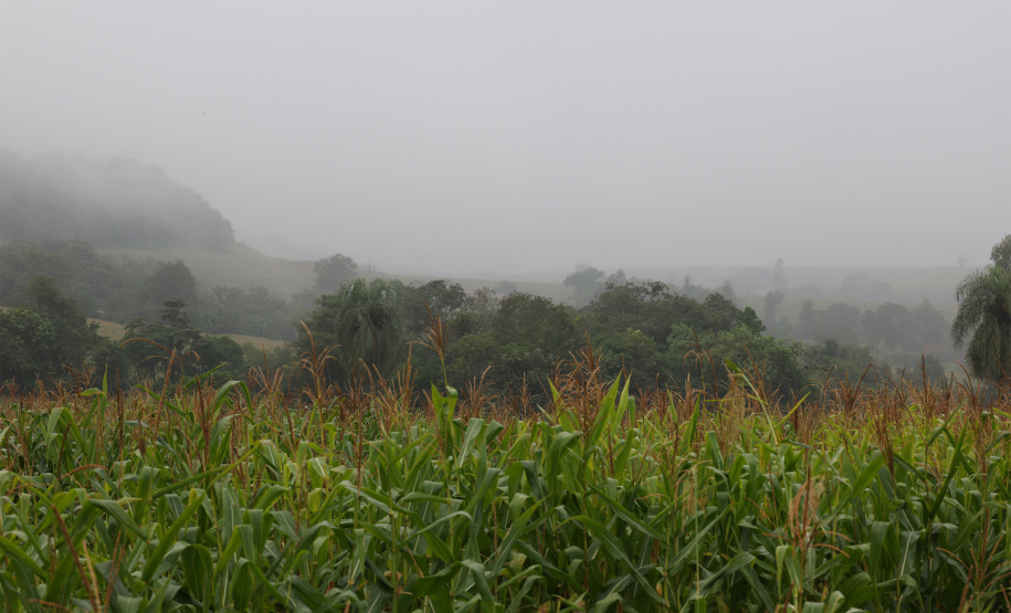 TEMPESTADES RETORNAM AO PARANÁ, COM VOLUMES DE CHUVA MAIS EXPRESSIVOS NA FAIXA CENTRAL