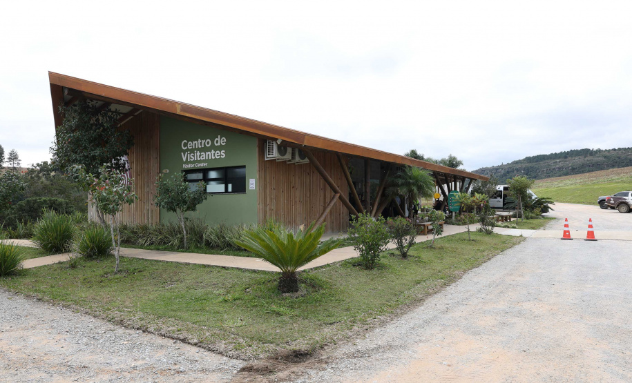 PONTA GROSSA