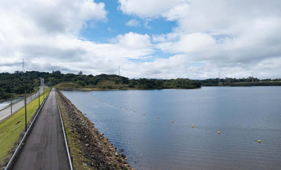 Sítios experimentais da Sanepar validam eficiência de tecnologias de sucessão ecológica para recuperação de áreas degradadas