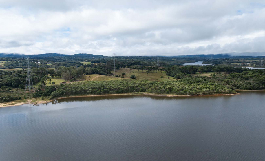 Sítios experimentais da Sanepar validam eficiência de tecnologias de sucessão ecológica para recuperação de áreas degradadas