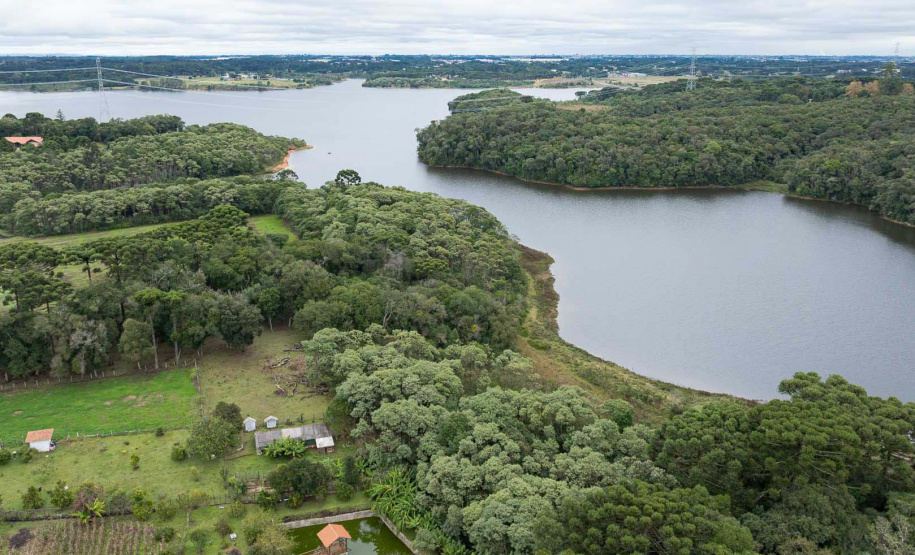 Sítios experimentais da Sanepar validam eficiência de tecnologias de sucessão ecológica para recuperação de áreas degradadas