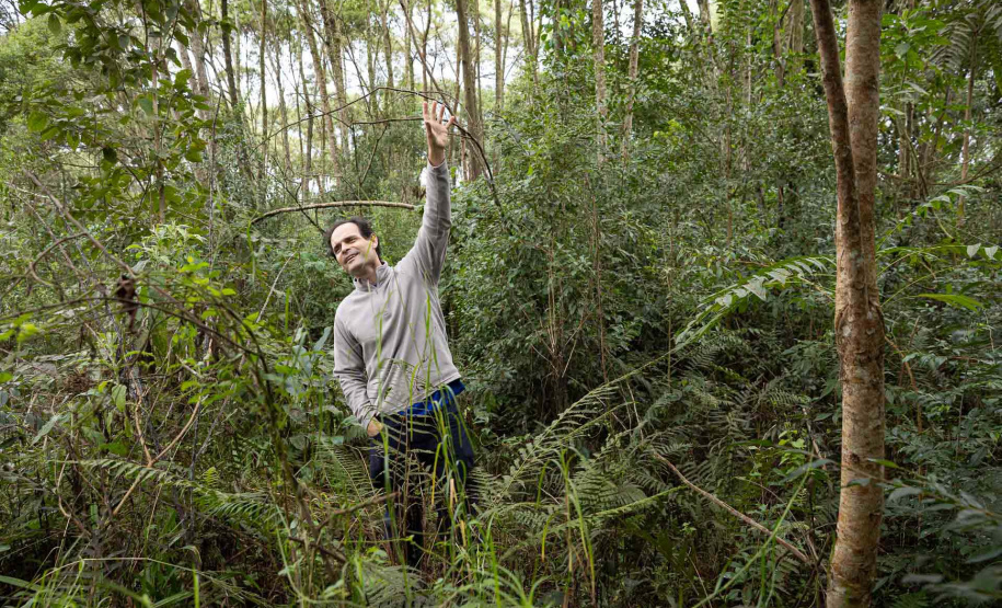 Sítios experimentais da Sanepar validam eficiência de tecnologias de sucessão ecológica para recuperação de áreas degradadas