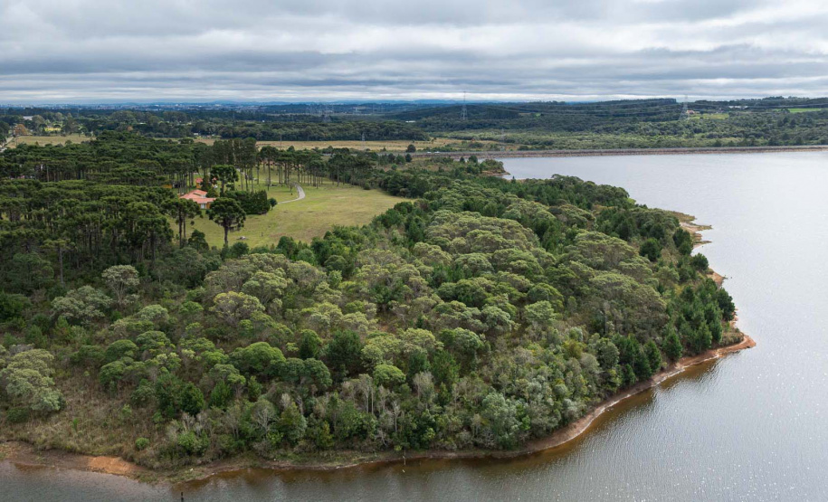 Sítios experimentais da Sanepar validam eficiência de tecnologias de sucessão ecológica para recuperação de áreas degradadas