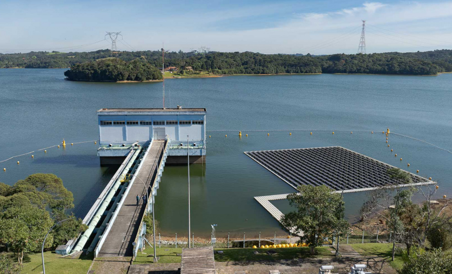 Sanepar e UFPR identificam peixe que atua como "filtro ecológico" e reduz emissão de gases do efeito estufa
