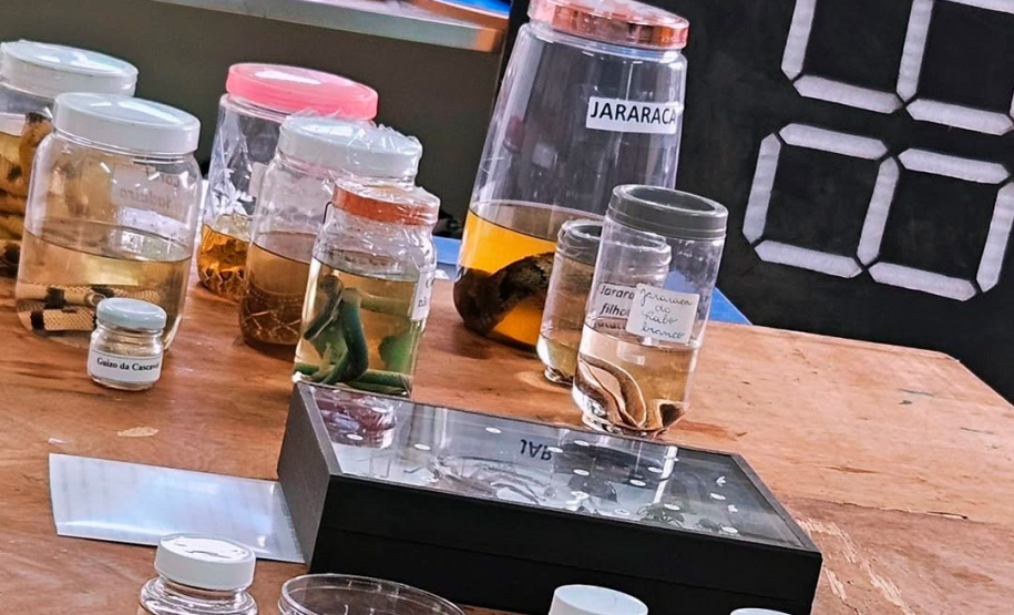 Universidades estaduais unem ensino e assistência especializada para fortalecer a toxicologia no Paraná