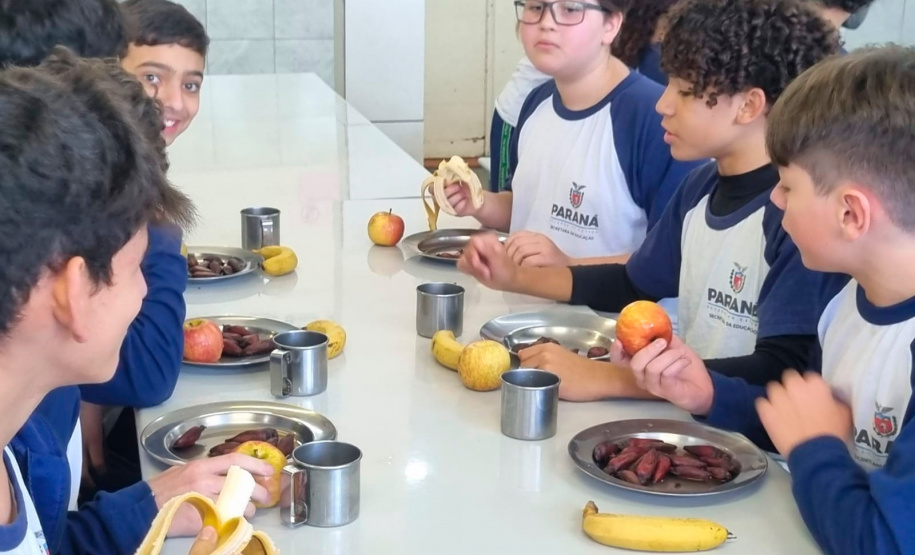 Pinhão ganha espaço nos cardápios estudantis da rede estadual