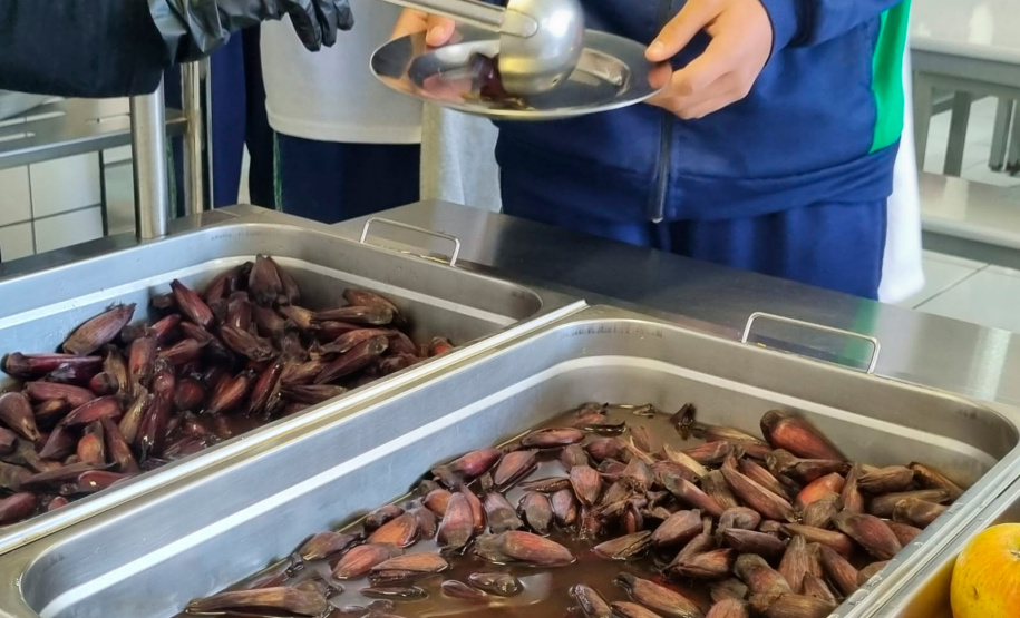Em oito anos, Paraná investe R$ 2,8 bilhões e diversifica alimentação escolar com orgânicos, frutas nativas e tecnologia de conservação