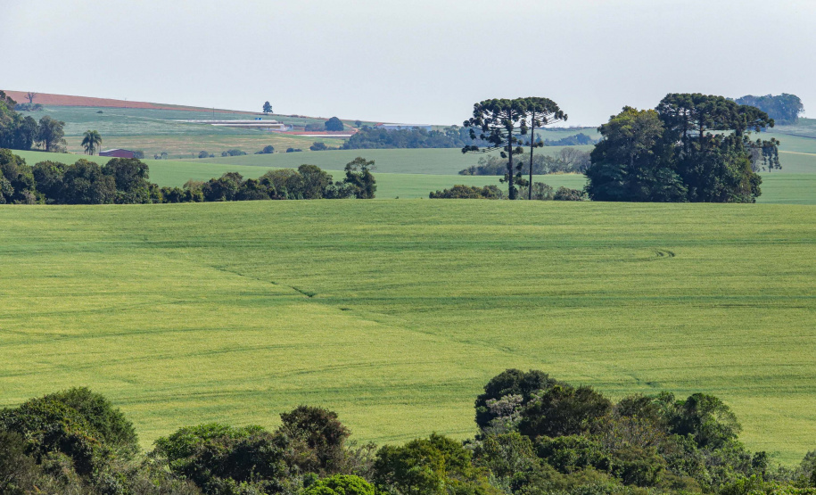 Dados federais confirmam liderança do Paraná na regularização ambiental rural do País