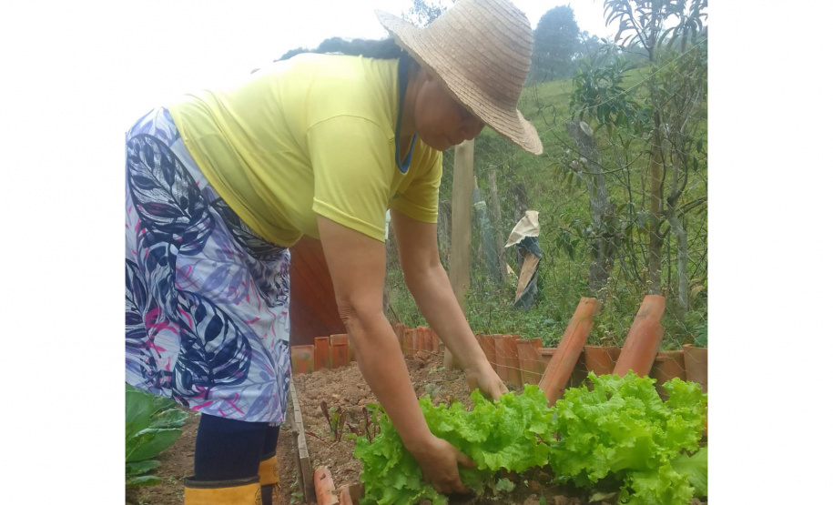 IAT - Hortas Comunitárias Campo Largo