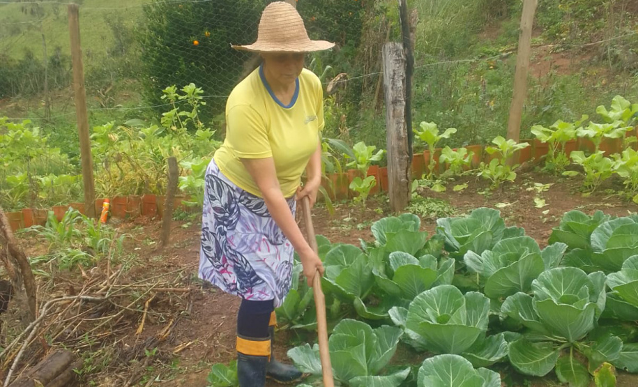 IAT - Hortas Comunitárias Campo Largo