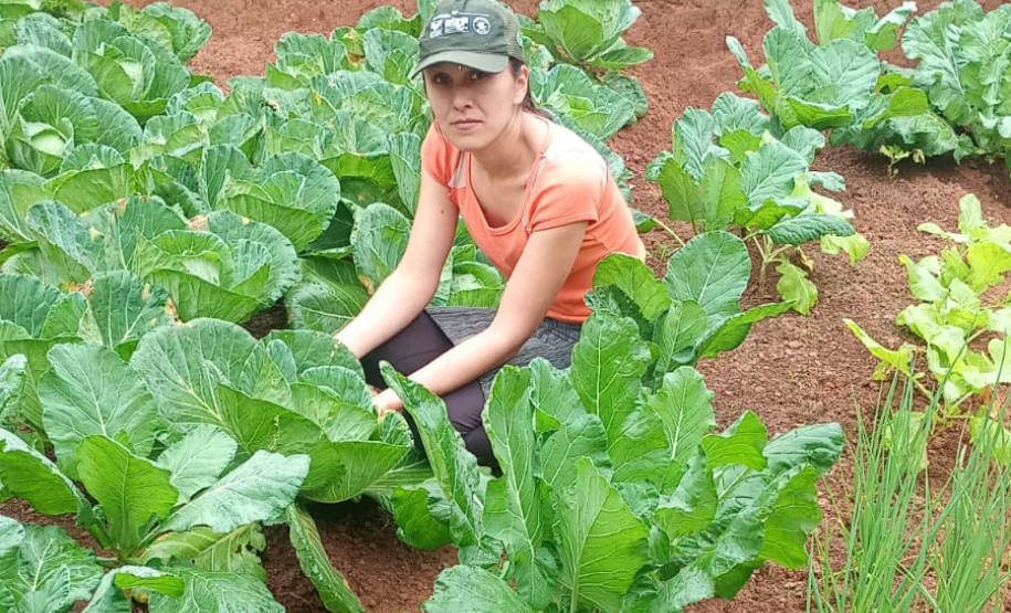 IAT - Hortas Comunitárias Campo Largo