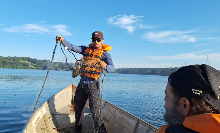 Sanepar e UFPR identificam peixe que atua como "filtro ecológico" e reduz emissão de gases do efeito estufa