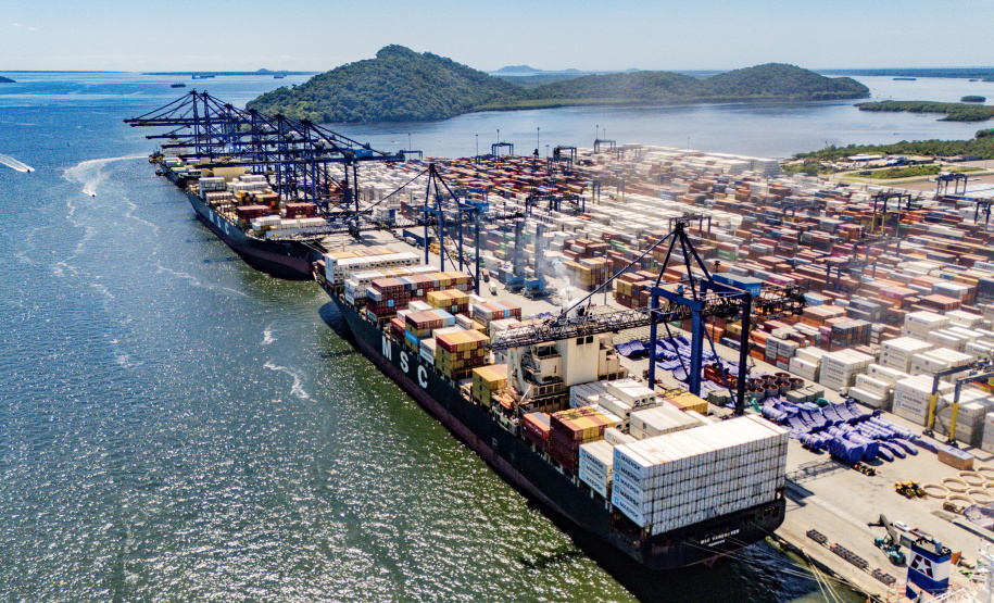 Porto de Paranaguá responde por quase 50% das exportações brasileiras de frango
