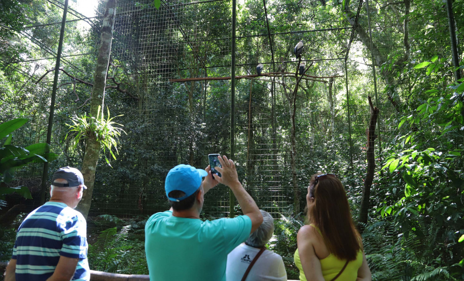 Viaje Paraná é integrado na UN Tourism para fortalecer a promoção do turismo sustentável