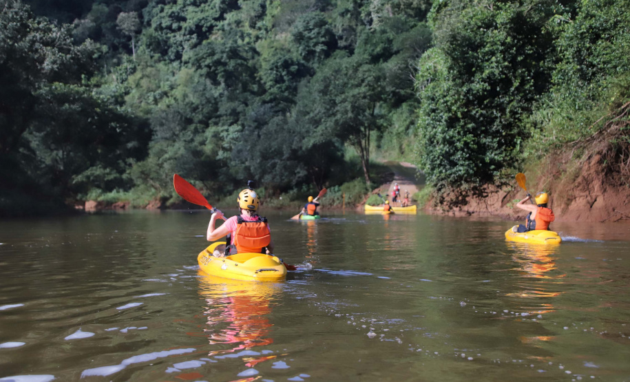 Viaje Paraná é integrado na UN Tourism para fortalecer a promoção do turismo sustentável
