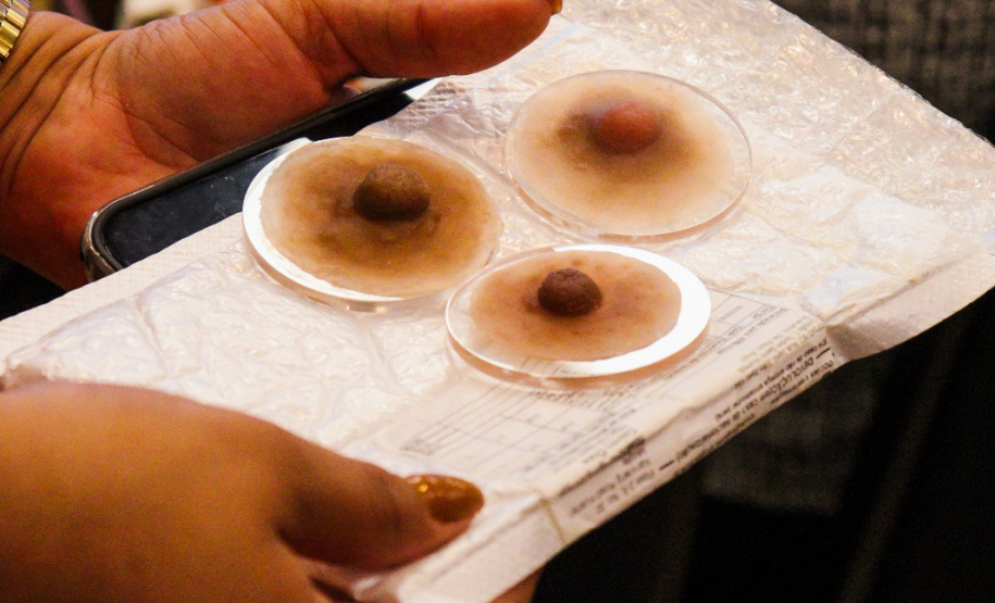 FUNDAÇÃO ARAUCÁRIA - Regenera Areola
