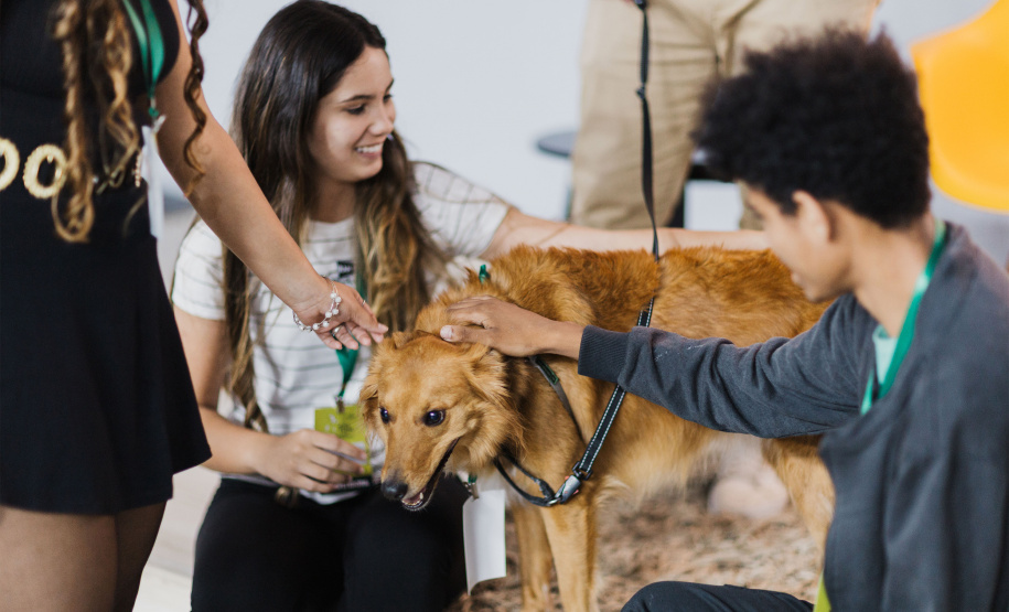 Estudantes da rede estadual transformam adoção animal em campanhas de impacto e conquistam prêmio nacional de criatividade