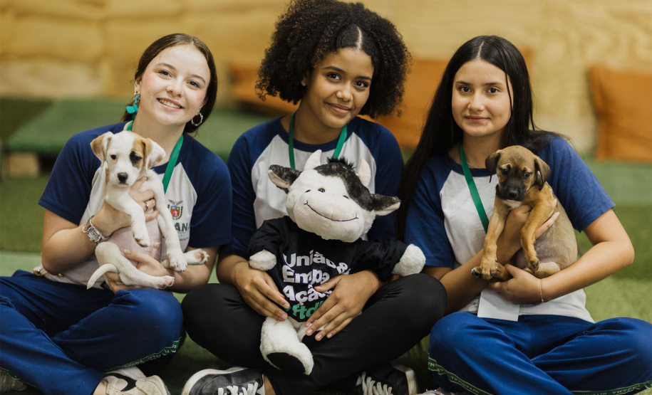 Estudantes da rede estadual transformam adoção animal em campanhas de impacto e conquistam prêmio nacional de criatividade