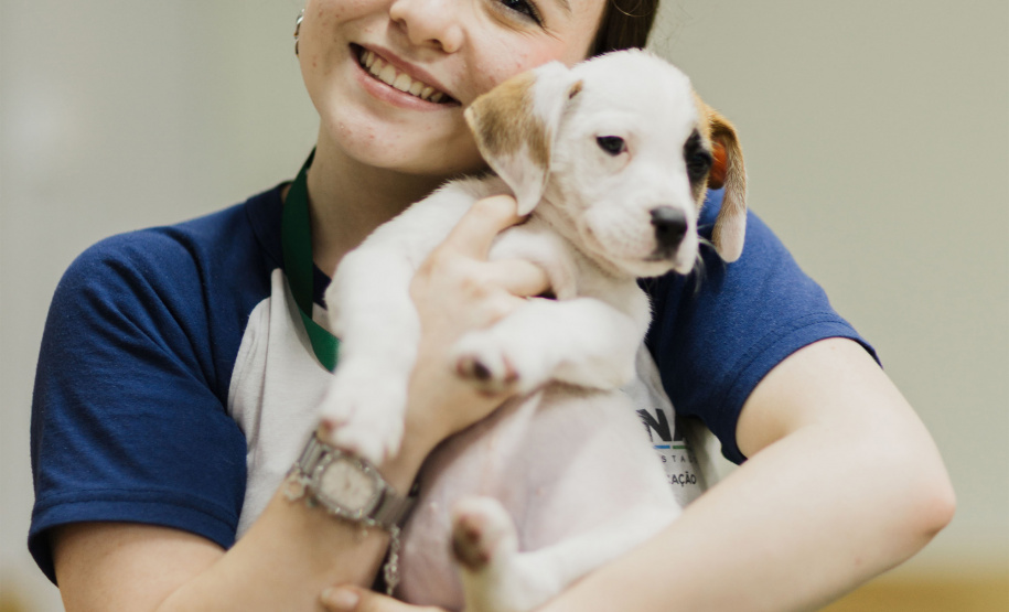 Estudantes da rede estadual transformam adoção animal em campanhas de impacto e conquistam prêmio nacional de criatividade