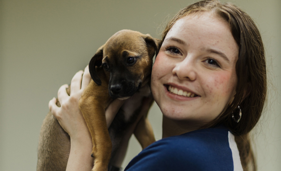 Estudantes da rede estadual transformam adoção animal em campanhas de impacto e conquistam prêmio nacional de criatividade