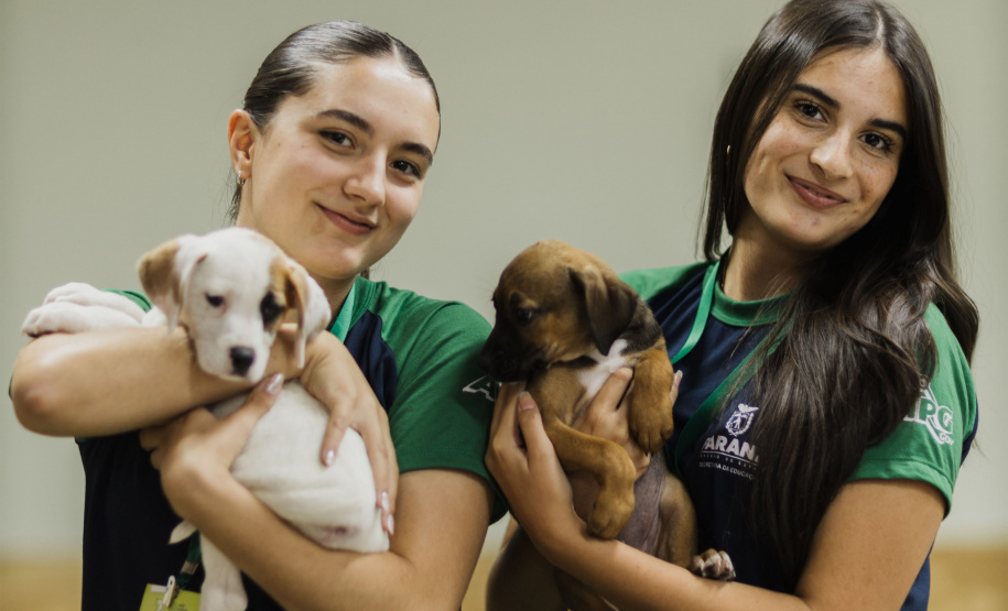 Estudantes da rede estadual transformam adoção animal em campanhas de impacto e conquistam prêmio nacional de criatividade