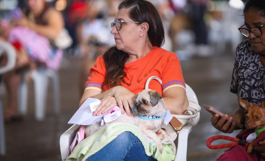 Mutirões do CastraPet vão passar por 21 municípios do Paraná em julho e beneficiar cerca de 3,3 animais.