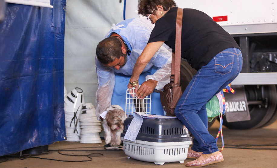 Mutirões do CastraPet vão passar por 21 municípios do Paraná em julho e beneficiar cerca de 3,3 animais.
