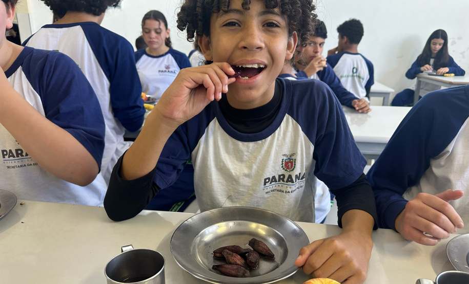 Pinhão ganha espaço nos cardápios estudantis da rede estadual
