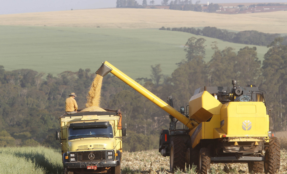 Paraná consolida safra de verão recorde puxada pela soja e milho