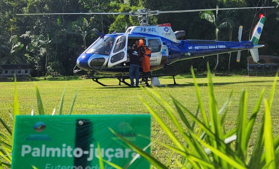 IAT faz a dispersão de 700 mil sementes de palmito-juçara para restaurar a Mata Atlântica