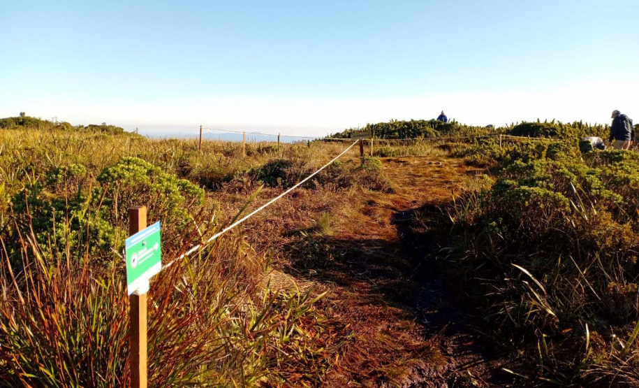 Demarcação Pico Paraná C